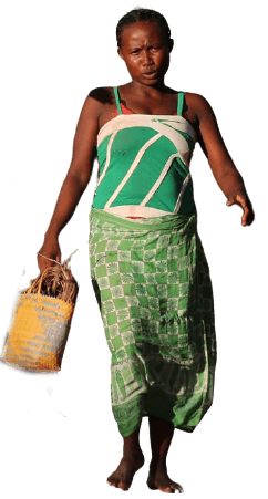 Image Title My Image